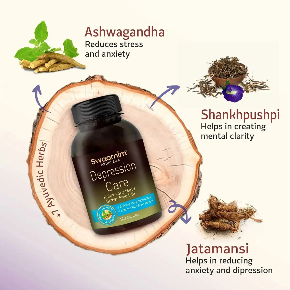 Ingredients in Depression Care Capsule