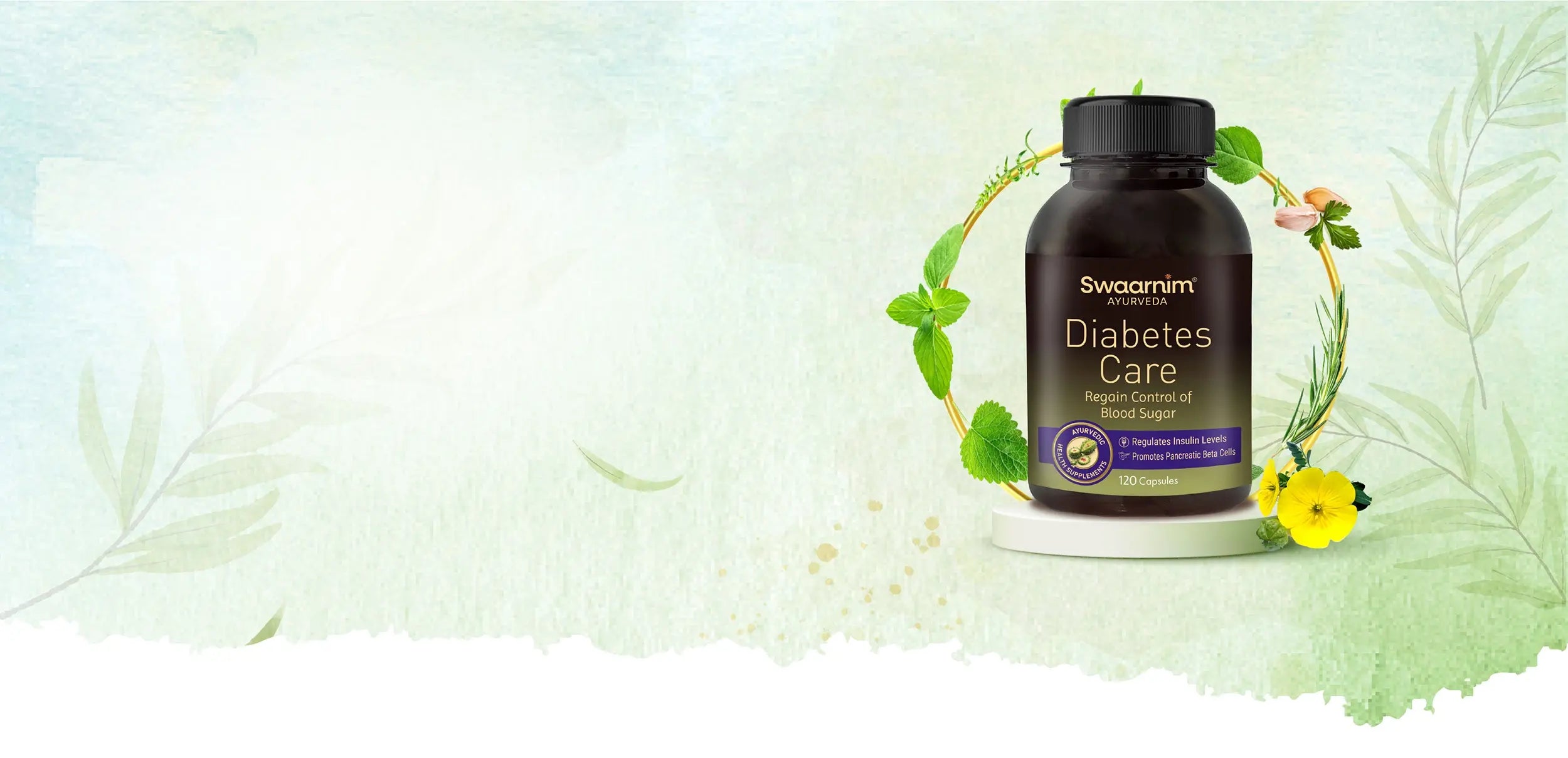 Diabetes Care Capsules