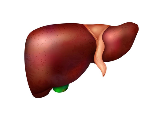 How to Keep Your Liver Healthy Naturally?